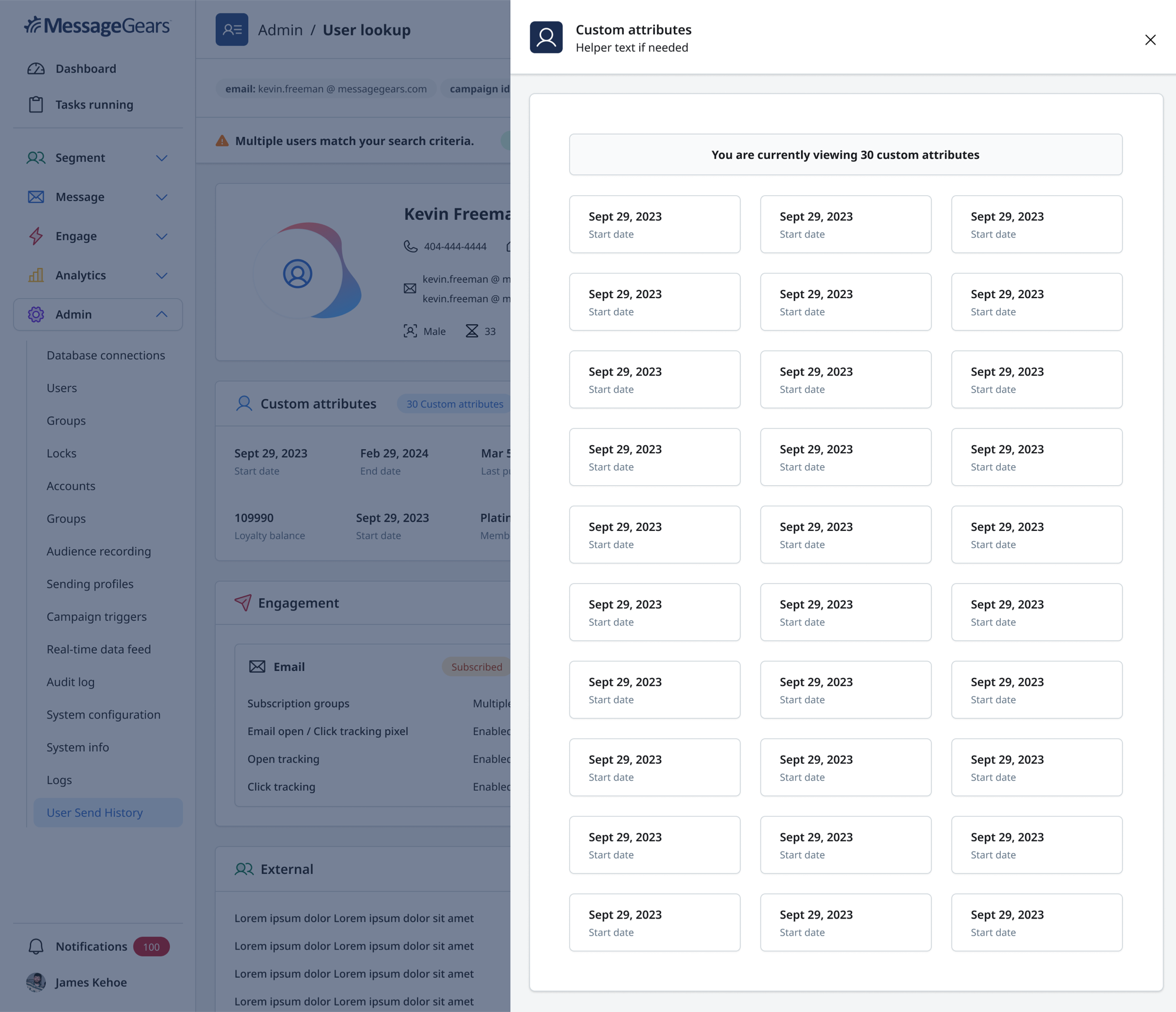 Custom attributes side drawer showing a large set of customer-specific fields