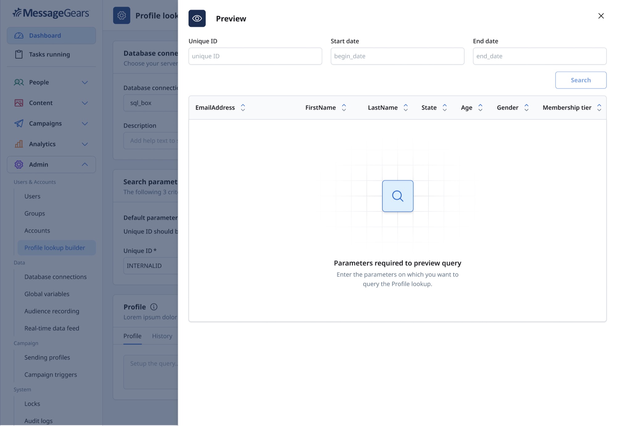 Profile preview empty state asking for query parameters